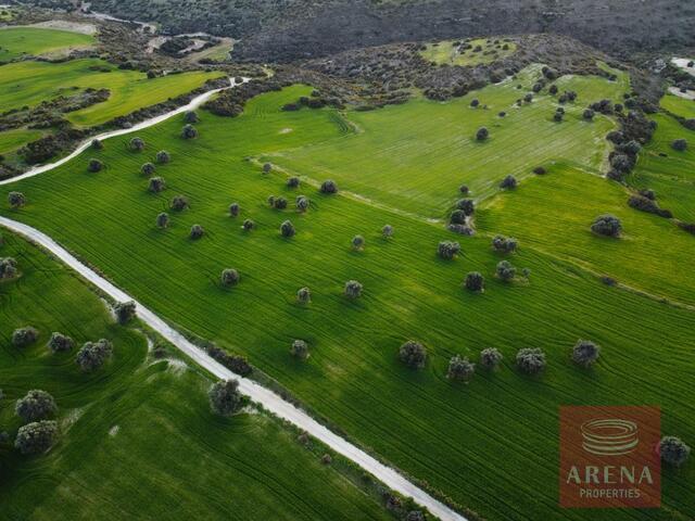 land-2-LAND-IN-AGIOS-THEODOROS-7628.jpeg