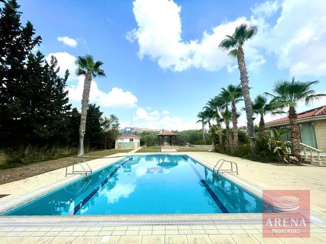 detachedHouse-5-5-bed-villa-in-Alethriko-7500.jpeg