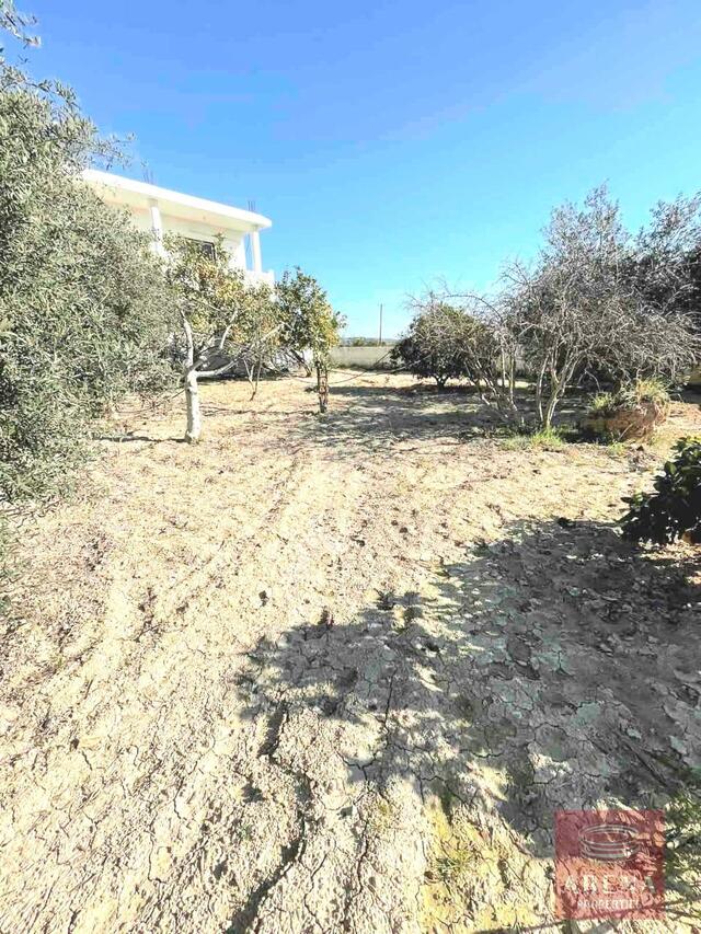 detachedHouse-7-VILLA-IN-ANAFOTIDA-9094.jpg
