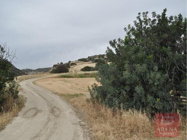 Residential land for sale in Tochni – photo 6