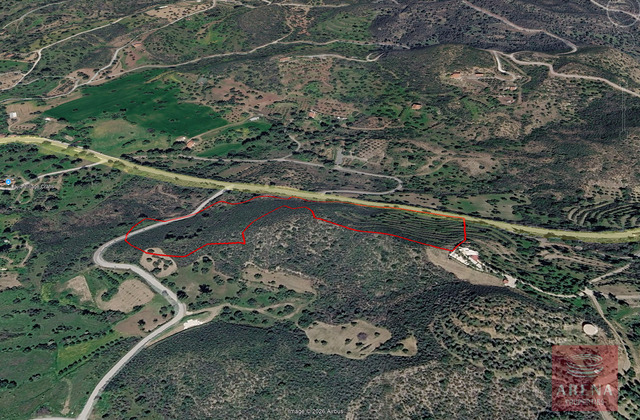 Land for Sale in Lageia, Larnaca | 26,338m² | €320,000 – photo 2