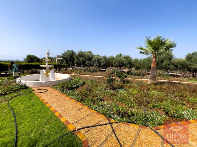 Luxury 6 Bed-Villa For Sale In Ayia Napa – photo 7