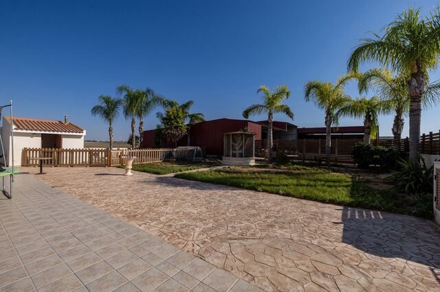 detachedHouse-11-5-bed-villa-kiti-10152.jpg