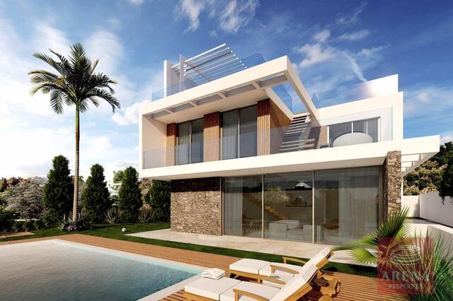 detachedHouse-3-4-BED-VILLA-IN-PROTARAS-6139-7.jpg