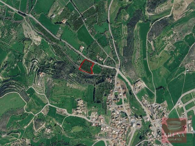 Residential & Protected Zone Land for Sale in Alaminos – photo 3