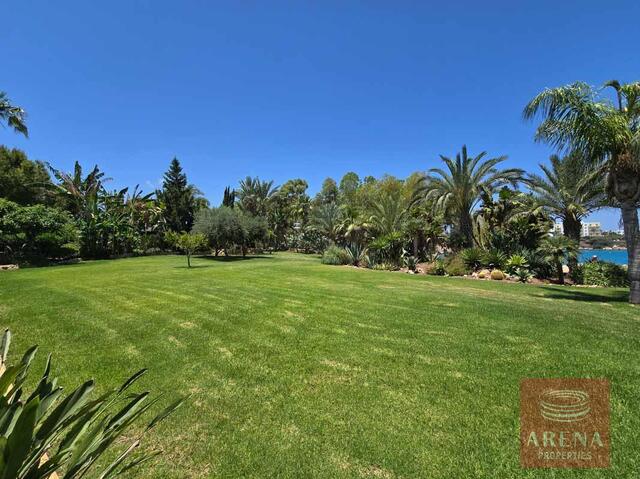 detachedHouse-6-4-BED-VILLA-CAPE-GRECO-8275.jpg