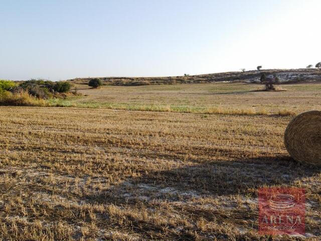 land-1-land-tersefanpou-10384-3.jpg