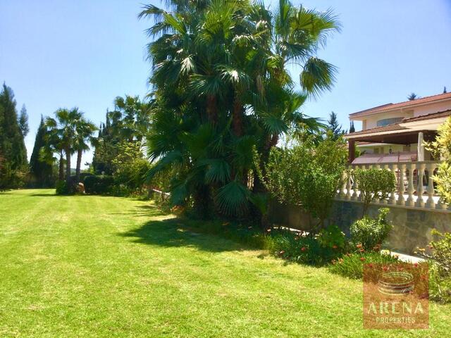 detachedHouse-13-5-bed-villa-in-Alethriko-7500.jpeg
