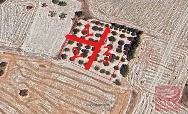 land-3-LAND-KALO-CHORIO-8755.jpg