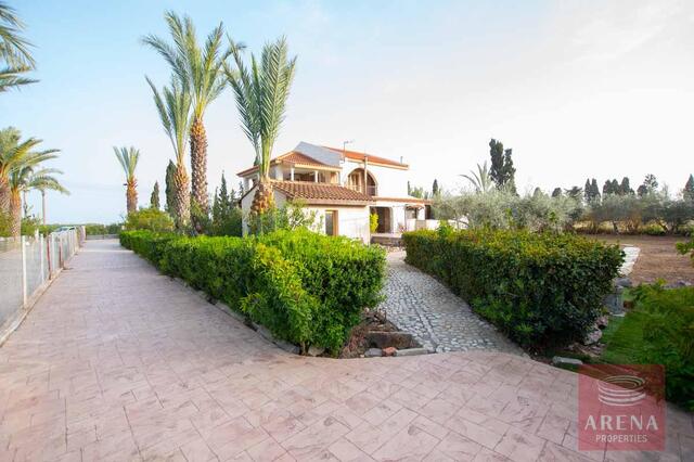detachedHouse-3-5-bed-villa-in-Pervolia-6045.jpeg