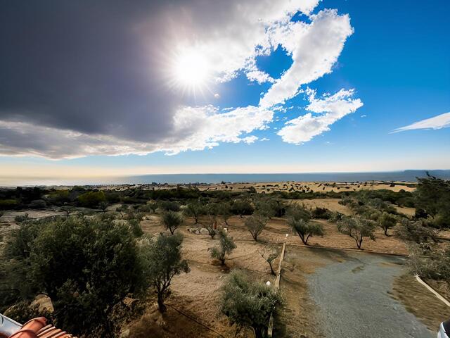 detachedHouse-1-4-BED-VILLA-FOR-SALE-IN-AGIA-THEKLA-9489-5.jpg