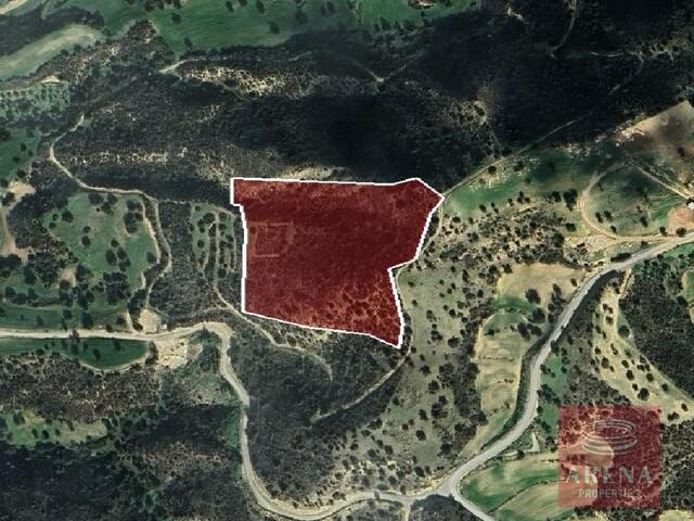 Land in Agios Theodoros – photo 1
