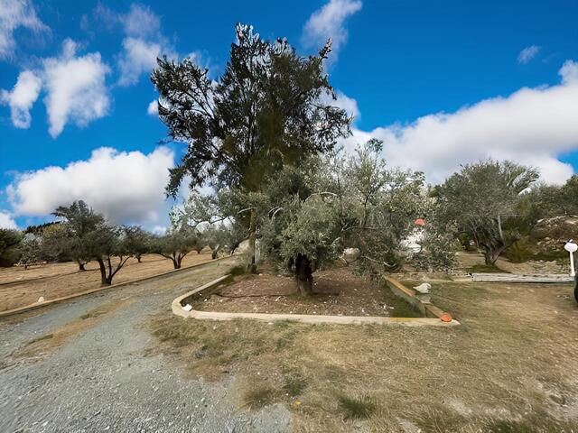 detachedHouse-1-4-BED-VILLA-FOR-SALE-IN-AGIA-THEKLA-9489-41.jpg
