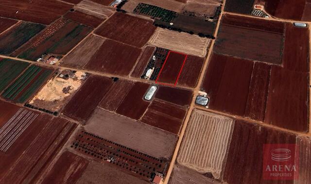 Land in Ormidia – photo 1