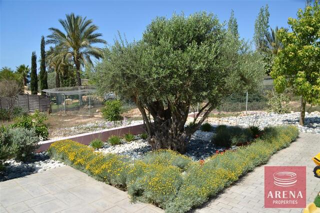 detachedHouse-15-VILLA-CYPRUS-4491.jpg