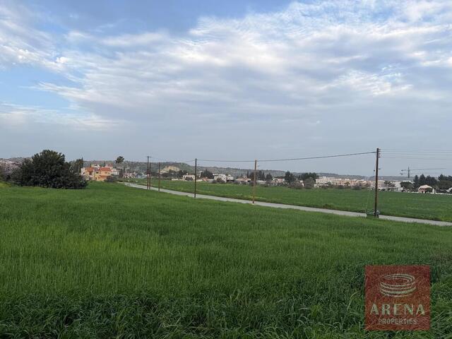 Residential Plot in Pyla – photo 8