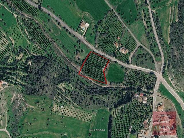 Residential & Protected Zone Land for Sale in Alaminos – photo 2
