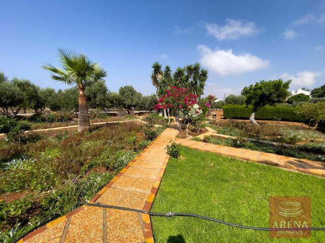 Luxury 6 Bed-Villa For Sale In Ayia Napa – photo 12