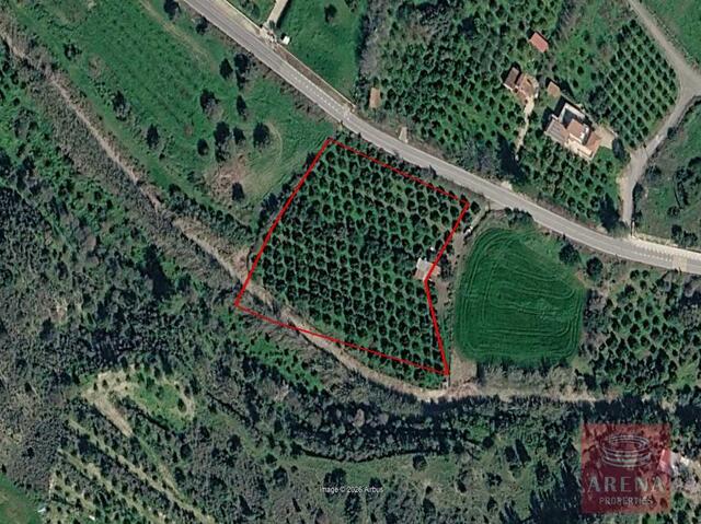 Residential & Protected Zone Land for Sale in Alaminos – photo 1