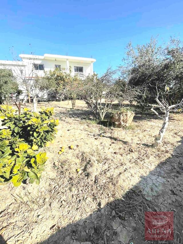detachedHouse-5-VILLA-IN-ANAFOTIDA-9094.jpg