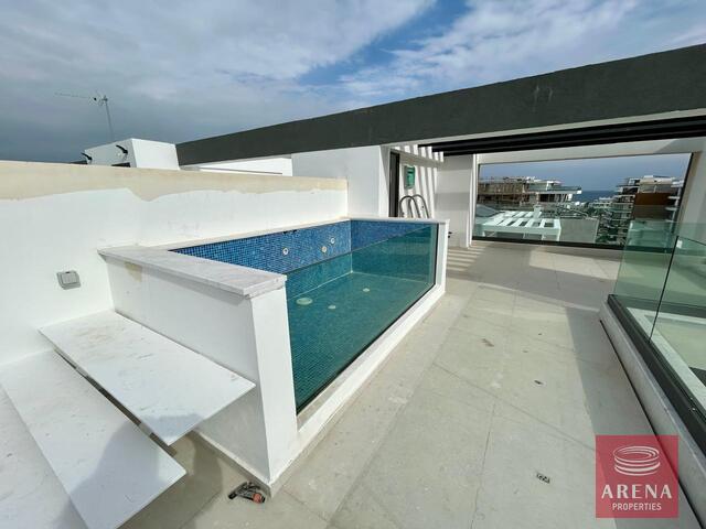 penthouse-WhatsApp-Image-2025-01-29-at-6.26.08-PM-3.jpg