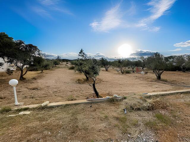 detachedHouse-1-4-BED-VILLA-FOR-SALE-IN-AGIA-THEKLA-9489-40.jpg