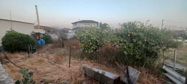 bungalow-6-BUNGALOW-XYLOTIMBOU-9362.jpg