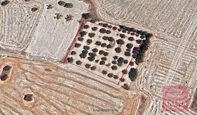 land-1-LAND-KALO-CHORIO-8755.jpg