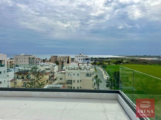 penthouse-WhatsApp-Image-2025-01-29-at-6.26.08-PM-4.jpg