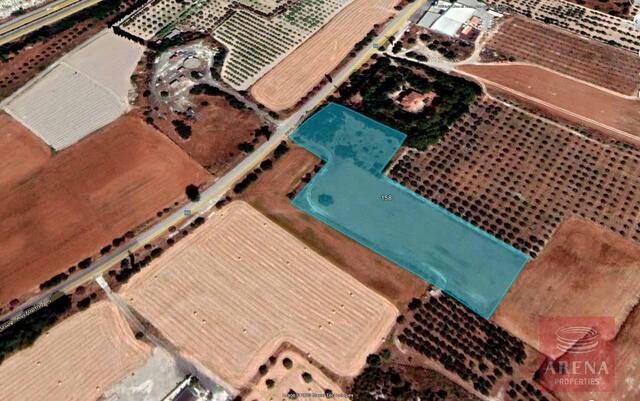 land-1-LAND-IN-ALETHRIKO-6796.jpeg
