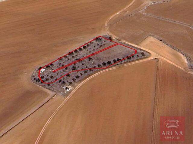 land-69d7967f74322-1.jpg