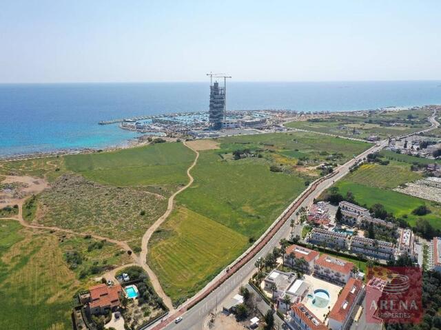 land-6a7451e29851e-1.jpg