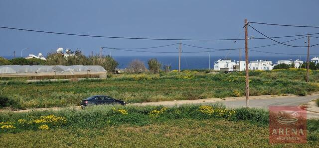 detachedHouse-69e5e9a67d3a0-1.jpg