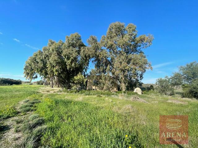 Land for sale in Ayia Napa – photo 6