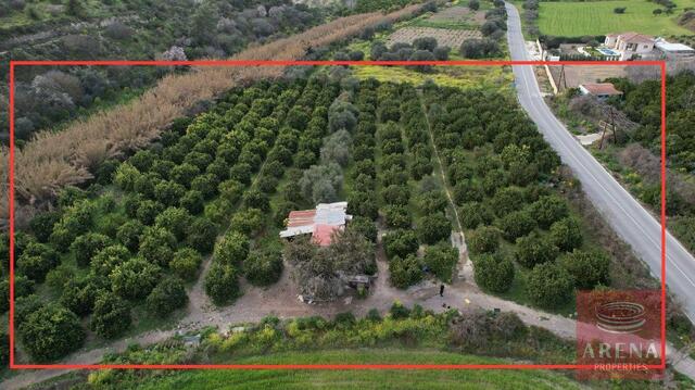 Residential & Protected Zone Land for Sale in Alaminos – photo 6
