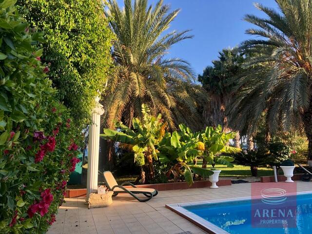 Villa in Pervolia for Rent – photo 7