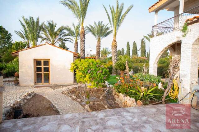 detachedHouse-13-5-bed-villa-in-Pervolia-6045.jpg