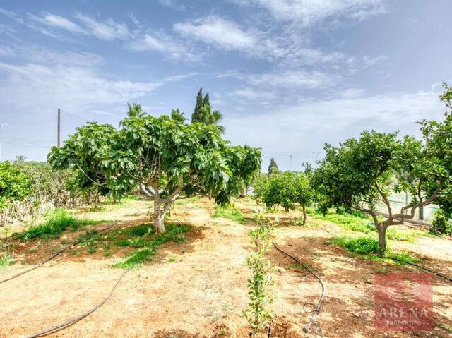4 Bedrooms Villa in Protaras – photo 8