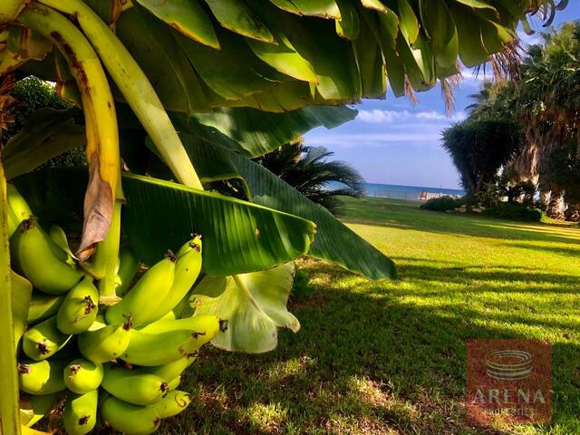 Villa in Pervolia for Rent – photo 8