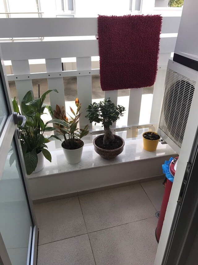 apartment-16-1.jpg