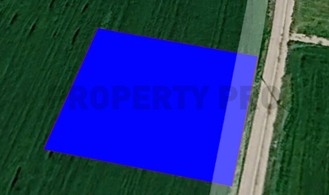 land-Untitled-1.jpg