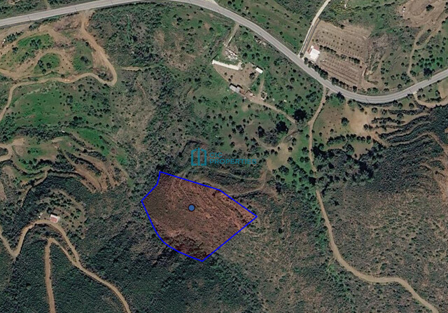 Large Field Plot 8362 m2 in Ora -  400m From Vavatsinia Village – photo 1