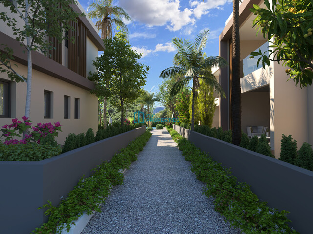 apartment-6a758ca92ac5c.jpg
