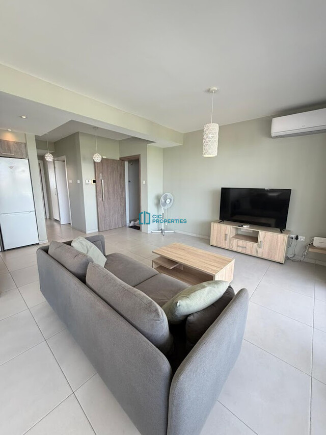 Fully Furnished 2 Bedroom Salt Lake View Apartment in Makenzy Area of Larnaca - Airbnb Ready – photo 4