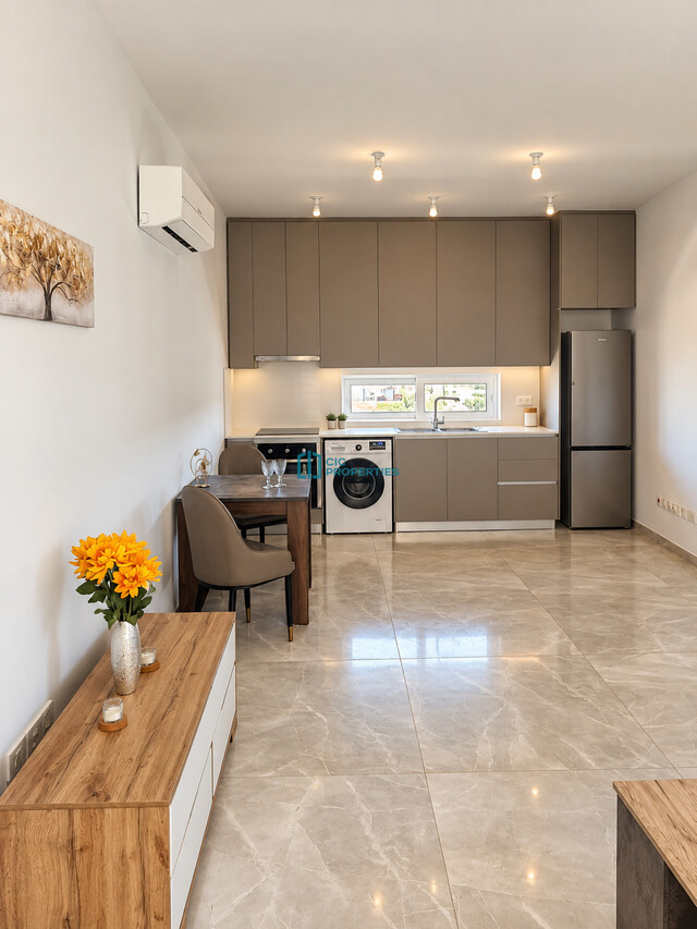 Brand New -  1 Bedroom Penthouse in Drosia Area offering  360 Balcony Salt Lake Views – photo 6