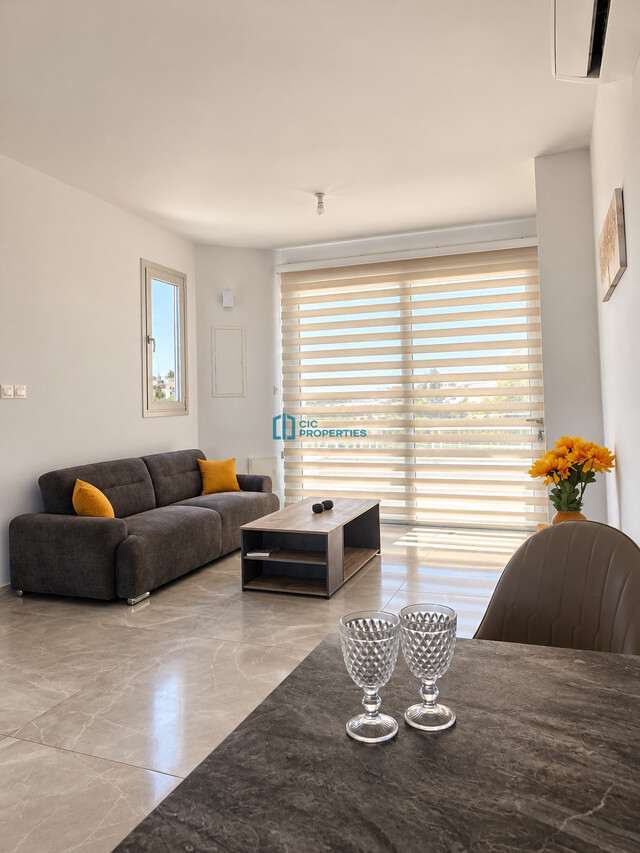 Brand New -  1 Bedroom Penthouse in Drosia Area offering  360 Balcony Salt Lake Views – photo 3