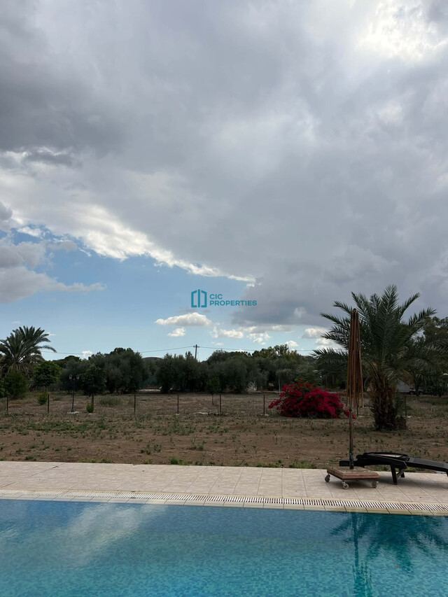 4 Bedroom Villa with Private Pool in Dali - Nicosia Area - Sitting on a Big Plot of 5351 m2 – photo 25