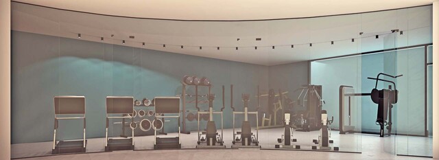 penthouse-gym-1-large-copy.jpeg