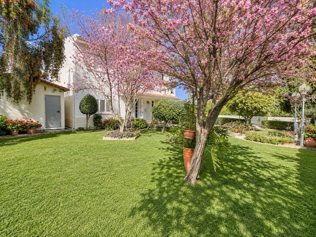 detachedHouse-chatgpt-image-jul-28-2026-01-44-31-pm-large.jpg