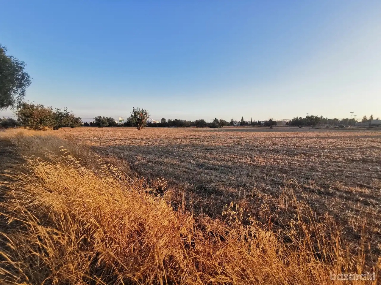 land-91bc0108e2b6ea27e75e24b5f1ee9652-large.jpeg